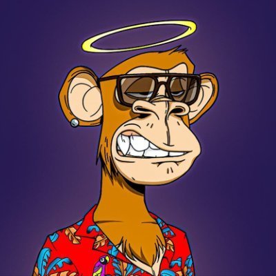 saguardolo's profile picture. NFT fan and collection hobby