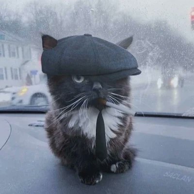 LL7327497175730's profile picture. 