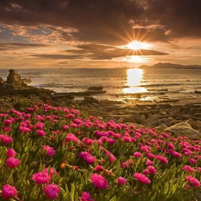 matrinick's profile picture. 