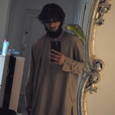SpreadHaqq's profile image