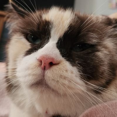 Aichoemm's profile picture. *. ⋆𝓣𝓻𝔂 𝓽𝓸 𝓫𝓮 𝓪 𝓻𝓪𝓲𝓷𝓫𝓸𝔀 𝓲𝓷 𝓼𝓸𝓶𝓮𝓸𝓷𝓮'𝓼 𝓬𝓵𝓸𝓾𝓭.. *. ⋆ ของจากป้า
#เอ็นดูป้าโอป 📦 #AichoemmReview 📢