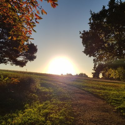 Peopleselbowww's profile picture. Order to the chaos.