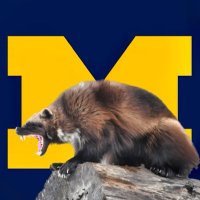 B_Dog_33_ (@b_dog_33_) 's Twitter Profile