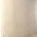 neokoneoko's profile picture. kk