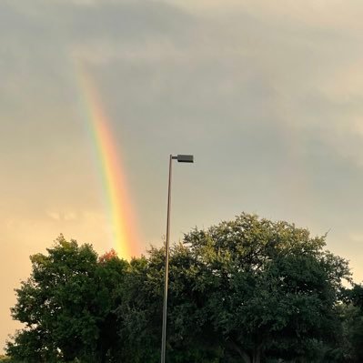 AliAFaruqi's profile picture. Try again. Fail again. Fail better.