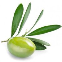 olive verte (@olivepasmure) 's Twitter Profile