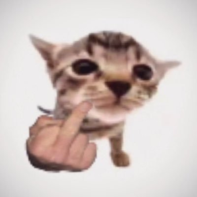 dumpandumb's profile picture. buseeeeeeet