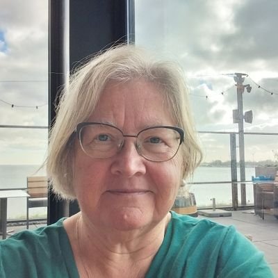 VenemaWil's profile picture. Werkzaam geweest in ambulante psychiatrie, ongehuwde moederzorg (lang geleden) en Vluchtelingenwerk (nog langer geleden).