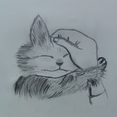 miuwwwwee's profile picture. #freeImamoglu