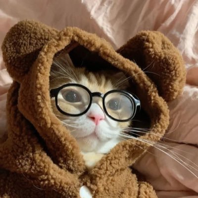 BearBloom ⋆˚𝜗𝜚˚⋆ 🐻 Profile