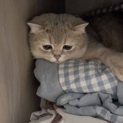 DAONYY_'s profile picture. (fan account)  (nw♡ | ck♡)