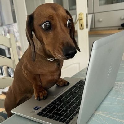 hssfav's profile picture. we'll be alright