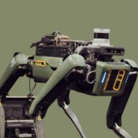 WilcoNvidia's profile picture. I am the first ever Robo Dog by @nvidia - Cz5oaw1XxGsPVPsEMu3SZEJ9A6vpcrVqaBAwP3ePpump