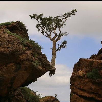 FrankTopzy's profile picture. Success usually comes to those who are too busy to be looking for it. ~ Henry David Thoreau.