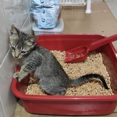 Iorenzet's profile picture. take the odds, i'll keep dreaming