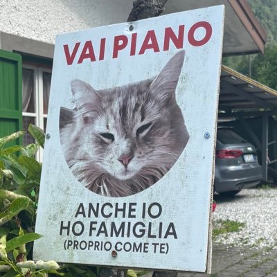 athu_cornich's profile picture. 