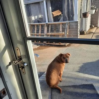 Brady6469919885's profile picture. will not get a gift card or send money