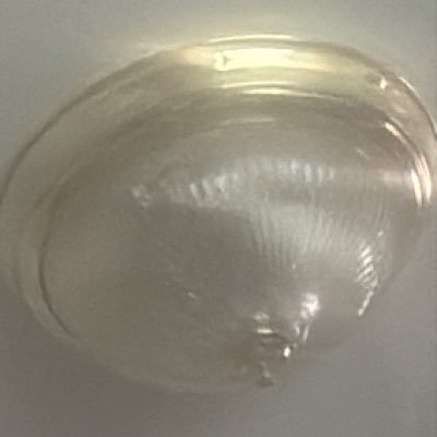 ianbatchelorr's profile picture. a wise man knows a wise man knows nothing