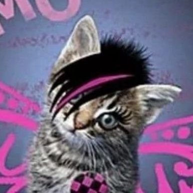 saarkinova's profile picture. priv for angry and whiny rants