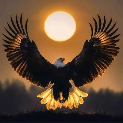 godwinaquila's profile picture. 