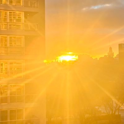 Nico69818252081's profile picture. 🇺🇾, Montevideo Versátil