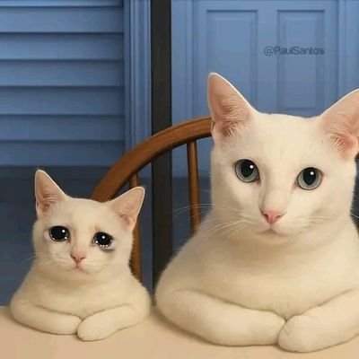 zaff_zy's profile picture. 