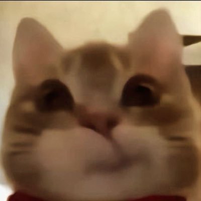 ylleklaer's profile picture. sometimes i think, sometimes i don’t