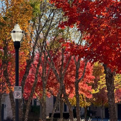 GailsMiddleName's profile picture. Diagnosed Bipolar.
Look for the humor in everything (including my mental health)
Passionate about Politics & Saving Our Country. Proudly 3X Trump 🇺🇸