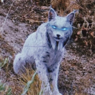 RealMoFogger's profile picture. 