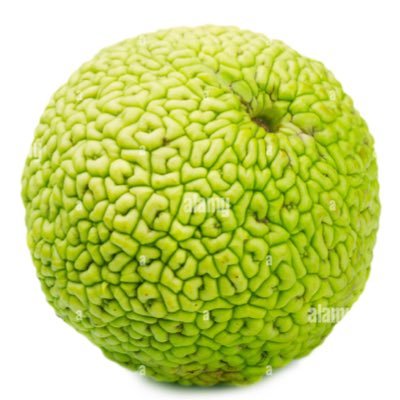 LifeGoetta's profile picture. 