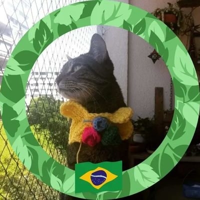 cri_crize's profile picture. você nunca deve destruir algo, mudar uma regra ou alterar uma tradição se não entender as razões que levaram à sua criação. (Chesterton)