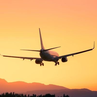 quinbroquil's profile picture. 