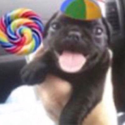 cuscuzc0mOvo's profile picture. que se foda🐎