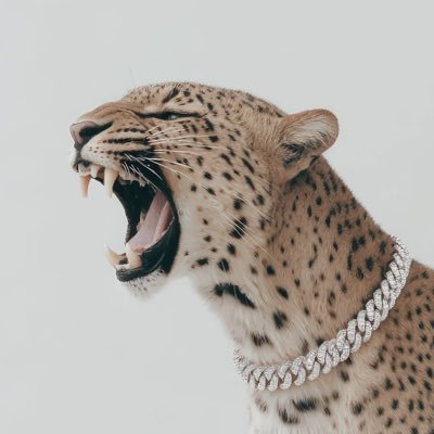 troublemaker_de's profile picture. 