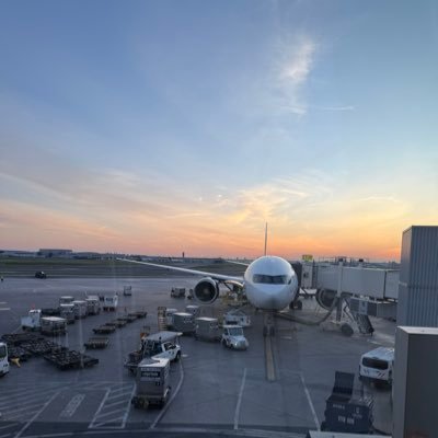 TheOnlyKuru's profile picture. trust the timing