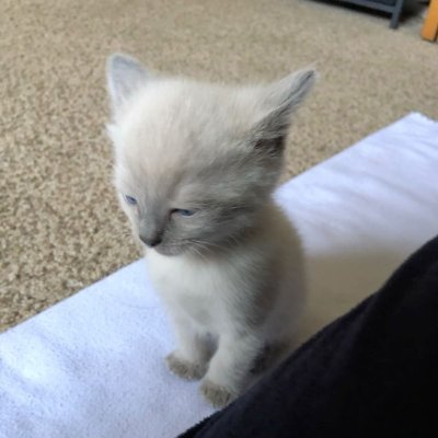 _aieks's profile picture. 