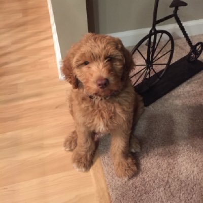 JayWonFan150K's profile picture. 