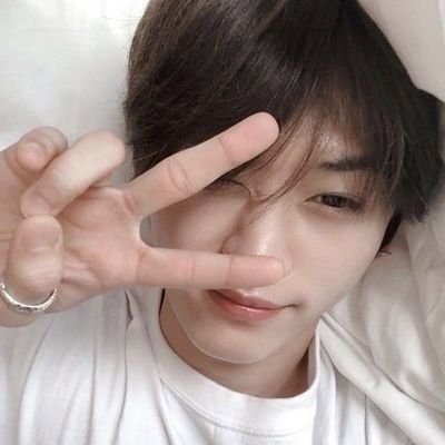 alehzbloo's profile picture. Recomeçar é um ato de fé em si mesmo.               
#studytwt | #langtwt | #booktwt | #collegetwt
