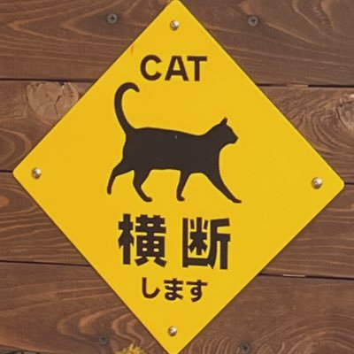 BW_kids_S0's profile picture. そこら辺の大学生。 ゲーム垢。