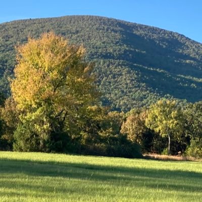 Robert Shankle Profile