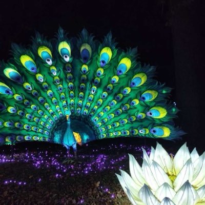 neilBA02's profile picture. 