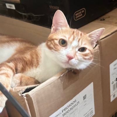 f395590923's profile picture. 