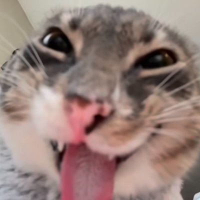 Ni_cky2's profile picture. Raptor? 🦖