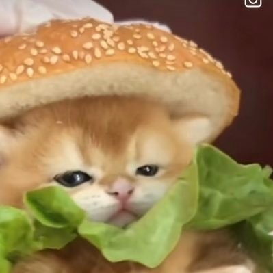 kasiore_himajin's profile picture. 