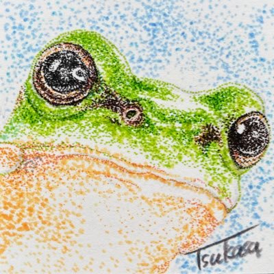 ✏️つかさ🐸 (@tsukasa_23_55) / Posts / X