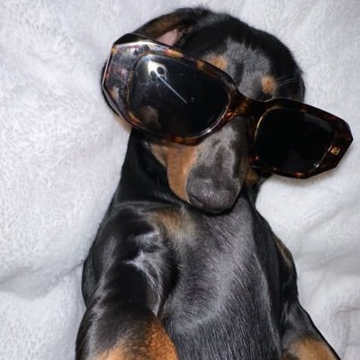 Iastinarod's profile picture. ✨