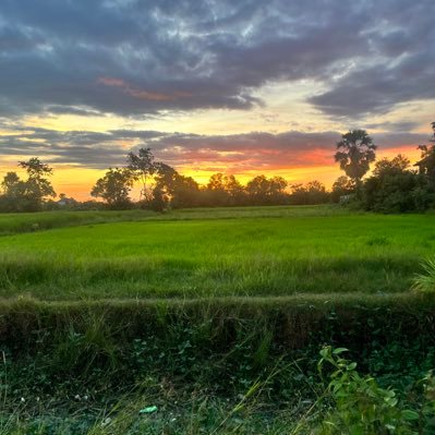 PechPhearogesf's profile picture. 