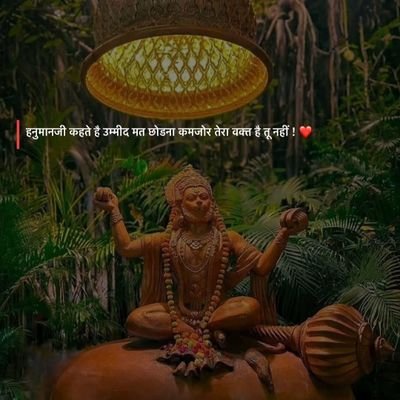 PATELANUJSINGH's profile picture. सरदार पटेल सेवा आश्रम ट्रस्ट
लखनऊ
संस्थापक