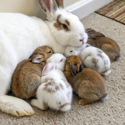 CrAzY_DuMbAs's profile picture. 13 😱

DNI: Racists, sexists, homophobics, pedos/zoos.

If you send me death or rape threat I will post the DM publicly.