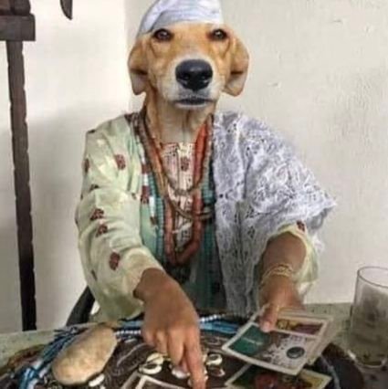 mialucina's profile picture. Cartomante, leituras com Tarot e Baralho Cigano. Pronta pra te ajudar e traumatizar com uns tapas na cara se for preciso @miatarologa